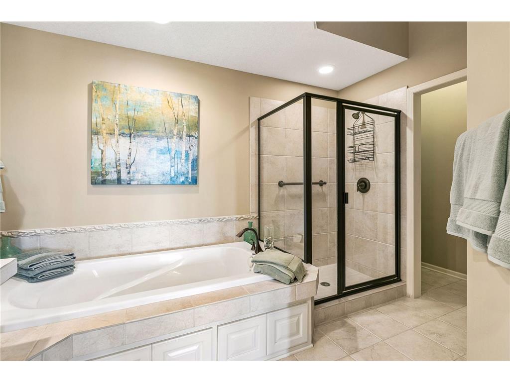 10102 Indigo Drive Eden Prairie MN 55347 7096542 image28