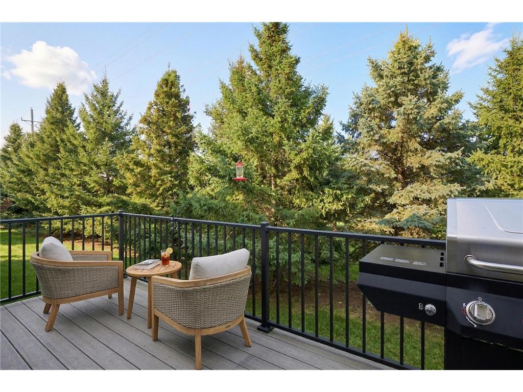 10106 Chestnut Circle N Brooklyn Park MN 55443 7039239 image3