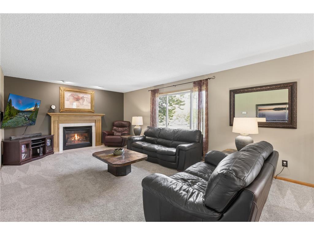 10106 Fernwood Lane N Champlin MN 55316 7077206 image11
