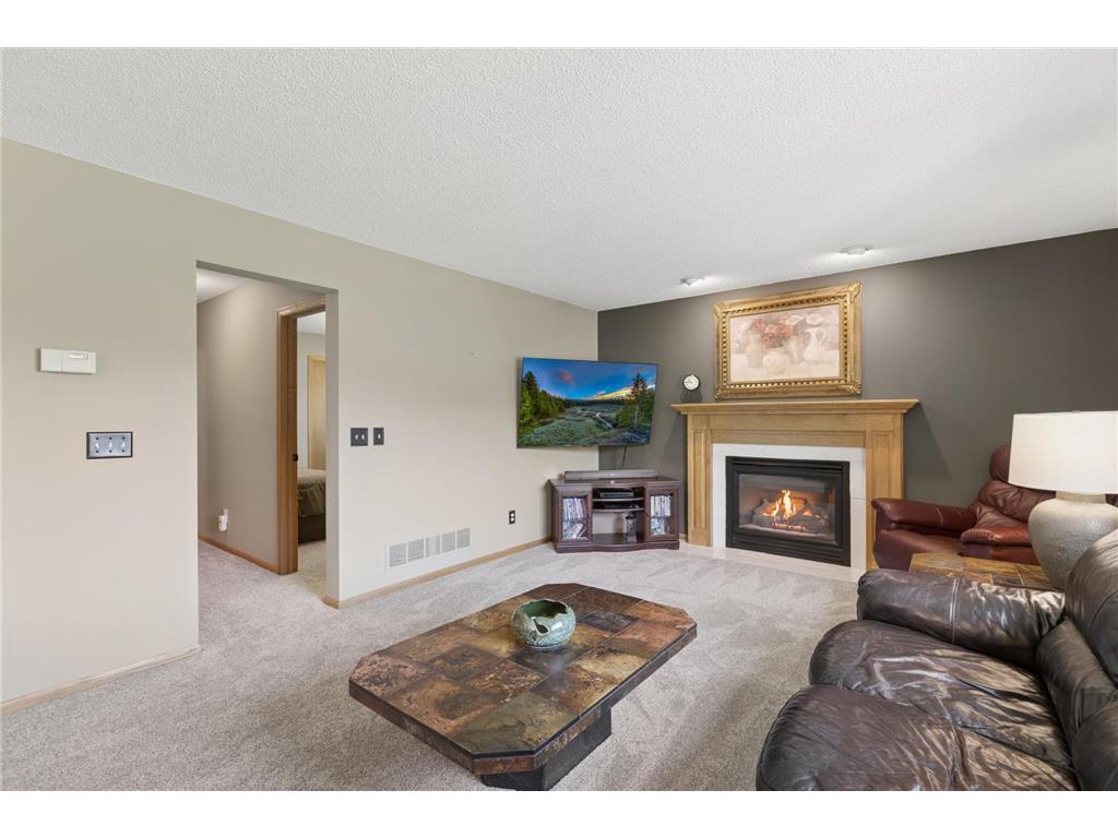 10106 Fernwood Lane N Champlin MN 55316 7077206 image14
