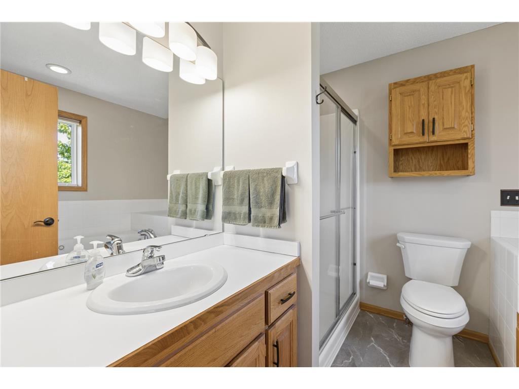10106 Fernwood Lane N Champlin MN 55316 7077206 image25