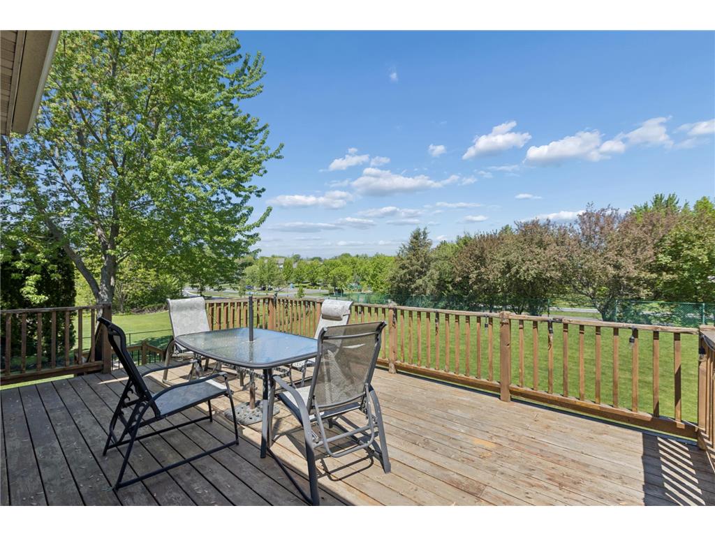 10106 Fernwood Lane N Champlin MN 55316 7077206 image35