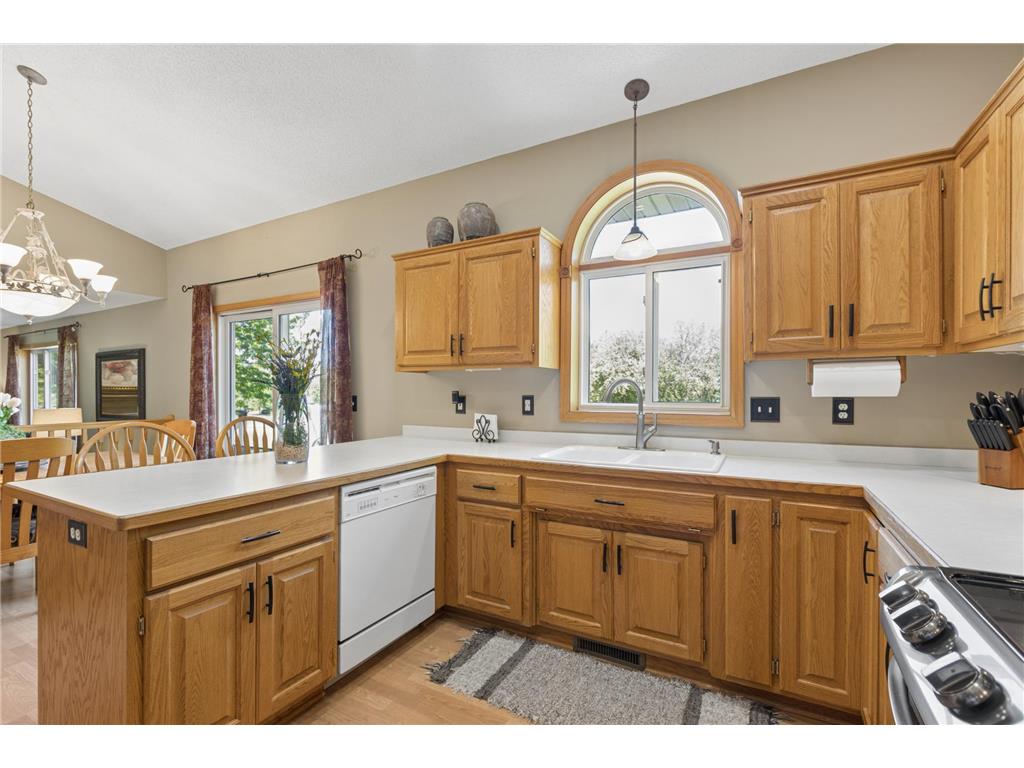 10106 Fernwood Lane N Champlin MN 55316 7077206 image5