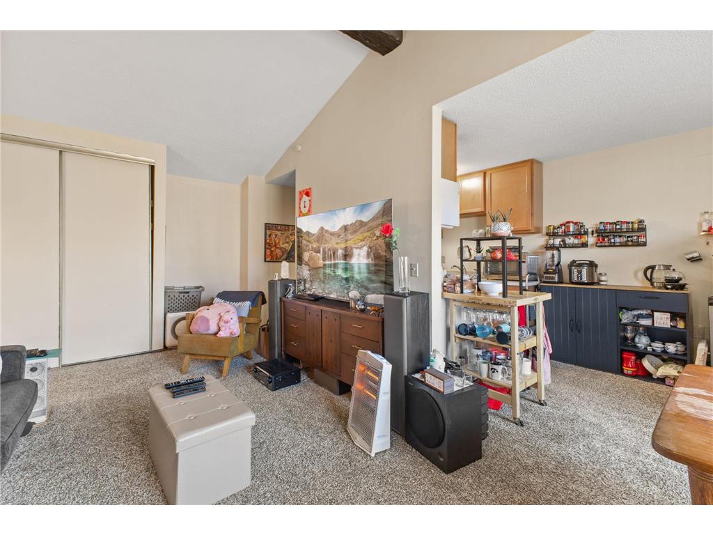 1011 11th Avenue S #8 Hopkins MN 55343 7062741 image11