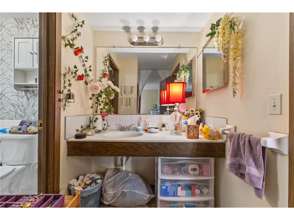 1011 11th Avenue S #8 Hopkins MN 55343 7062741 image20
