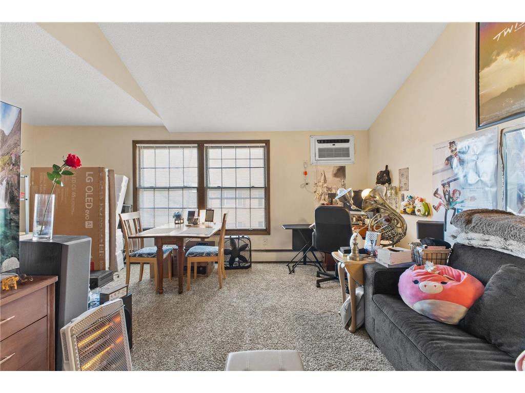 1011 11th Avenue S #8 Hopkins MN 55343 7062741 image7