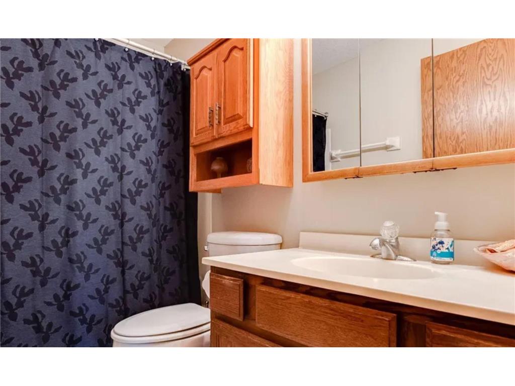 1011 41st Avenue NE #220 Columbia Heights MN 55421 7104967 image13