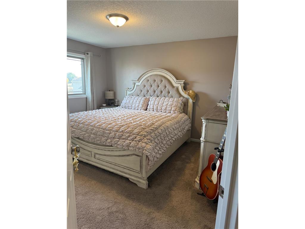 1011 Alexander Court Montrose MN 55363 6808815 image13