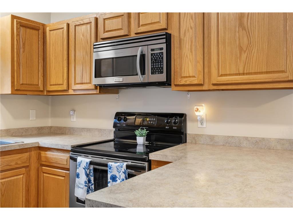 1011 Westview Drive Farmington MN 55024 7069758 image18