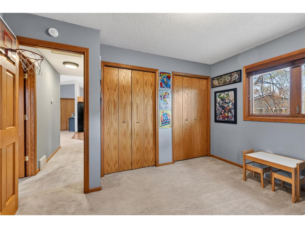 1011 Westview Drive Farmington MN 55024 7069758 image27