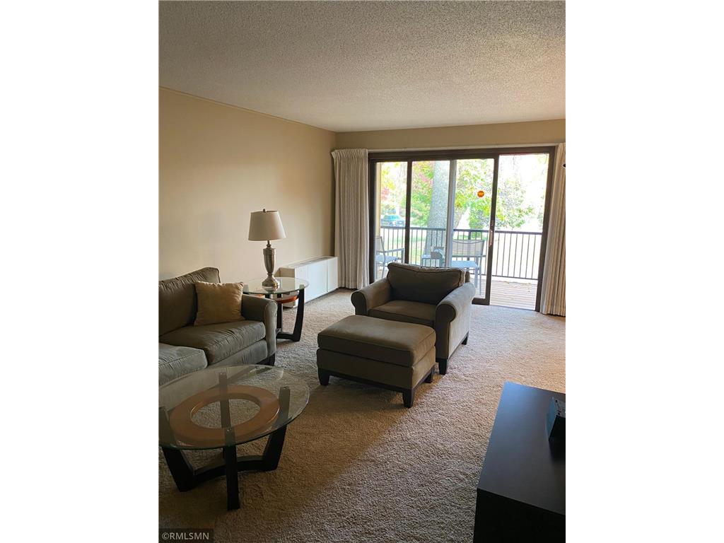 10113 W 34th Street #223 Minnetonka MN 55305 6270999 image1