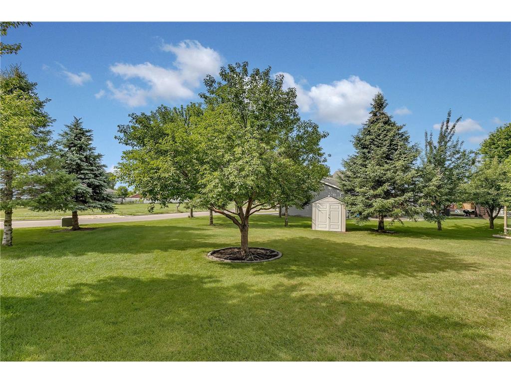 1012 Cory Lane Saint Cloud MN 56303 7098337 image36