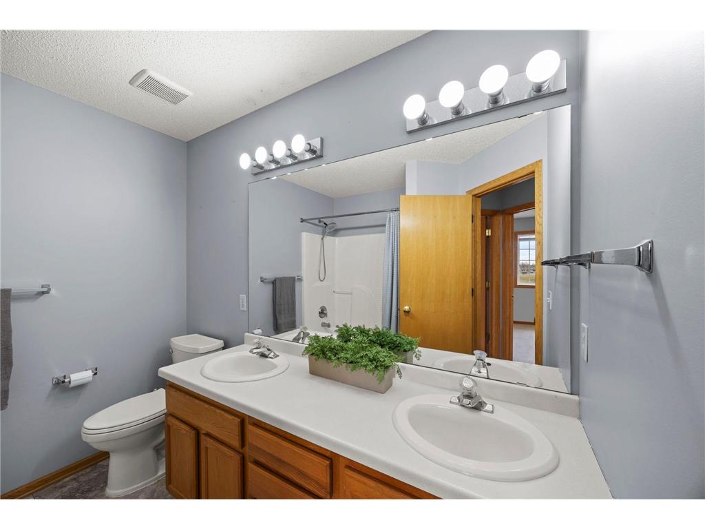 1012 Larkspur Lane Waconia MN 55387 7028631 image19