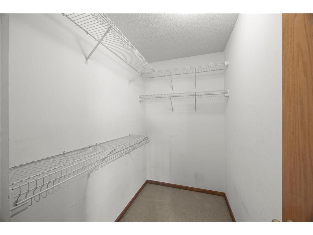 1012 Larkspur Lane Waconia MN 55387 7028631 image24
