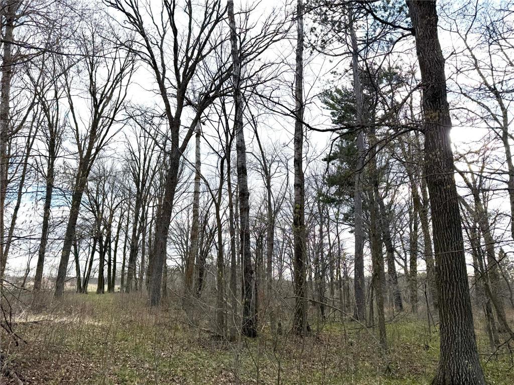 10121 State Highway 87 Menahga MN 56464 7072390 image39