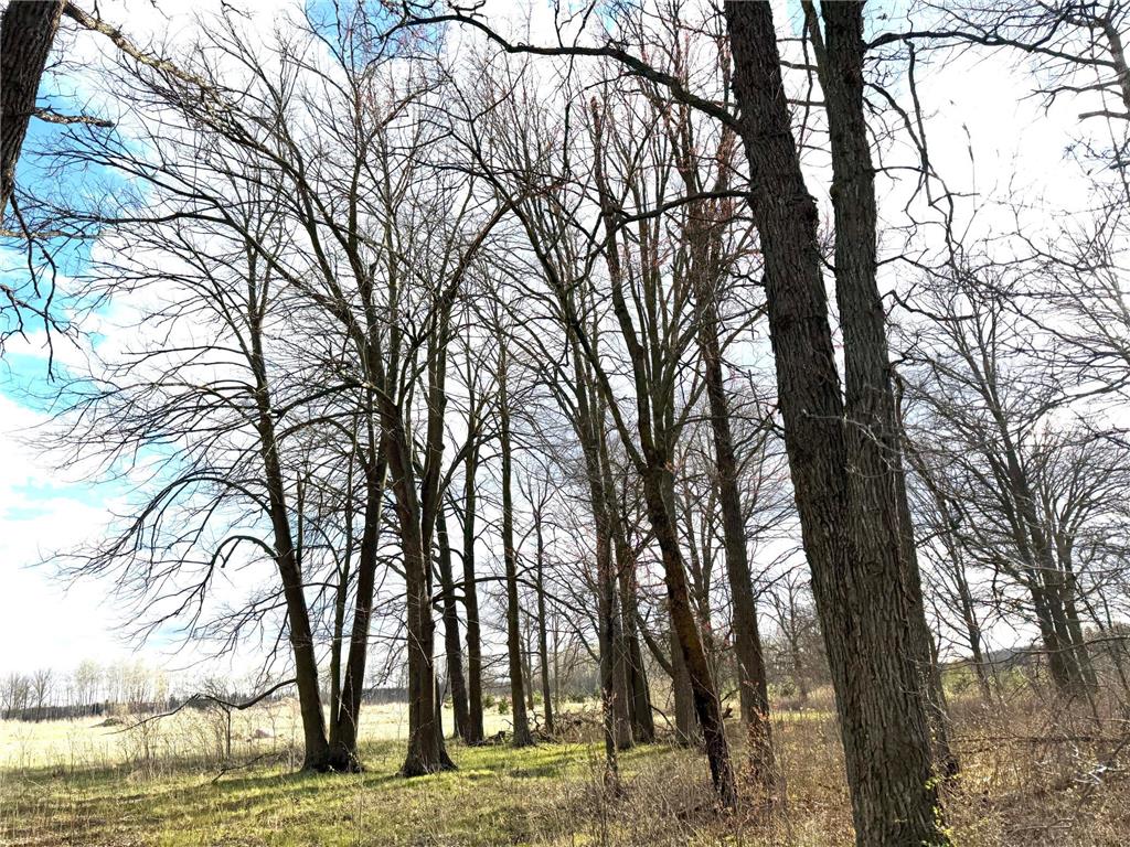 10121 State Highway 87 Menahga MN 56464 7072390 image41
