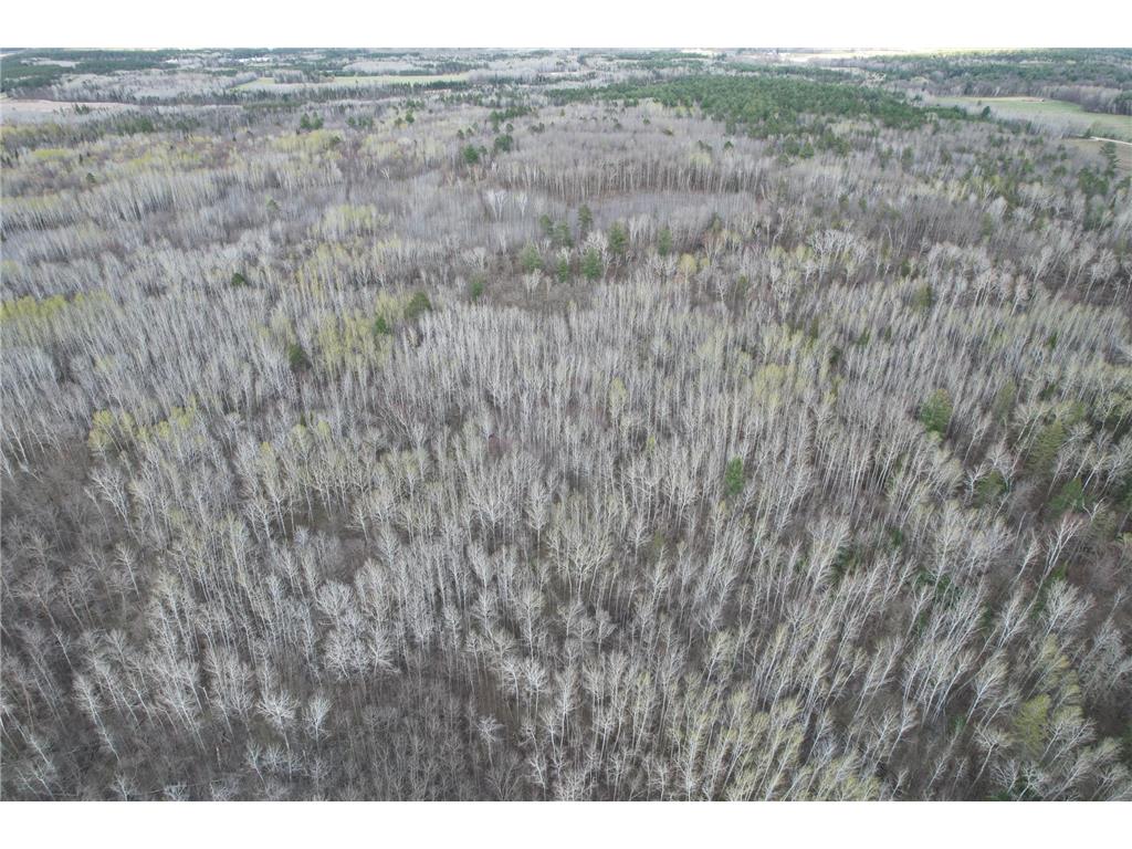 10121 State Hwy 87 Menahga MN 56464 7071353 image3