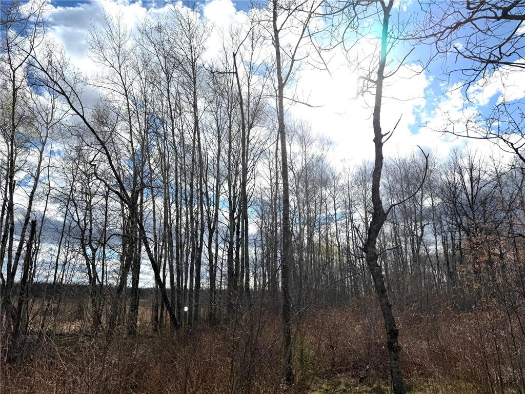 10121 State Hwy 87 Menahga MN 56464 7071353 image30