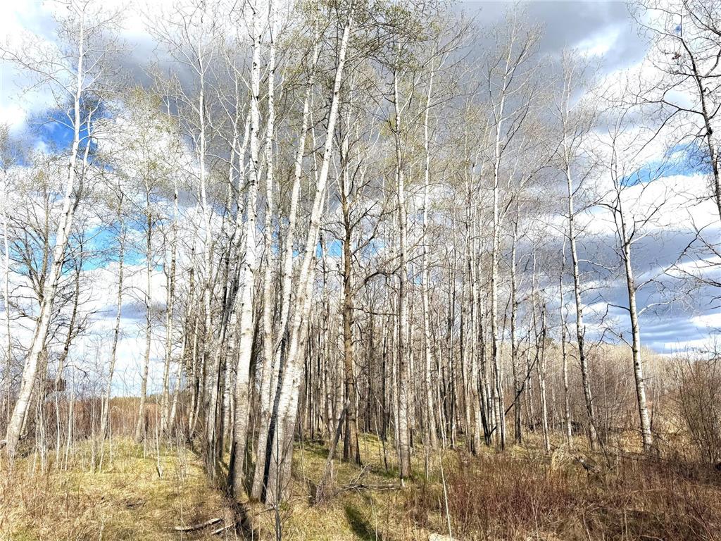 10121 State Hwy 87 Menahga MN 56464 7071353 image31