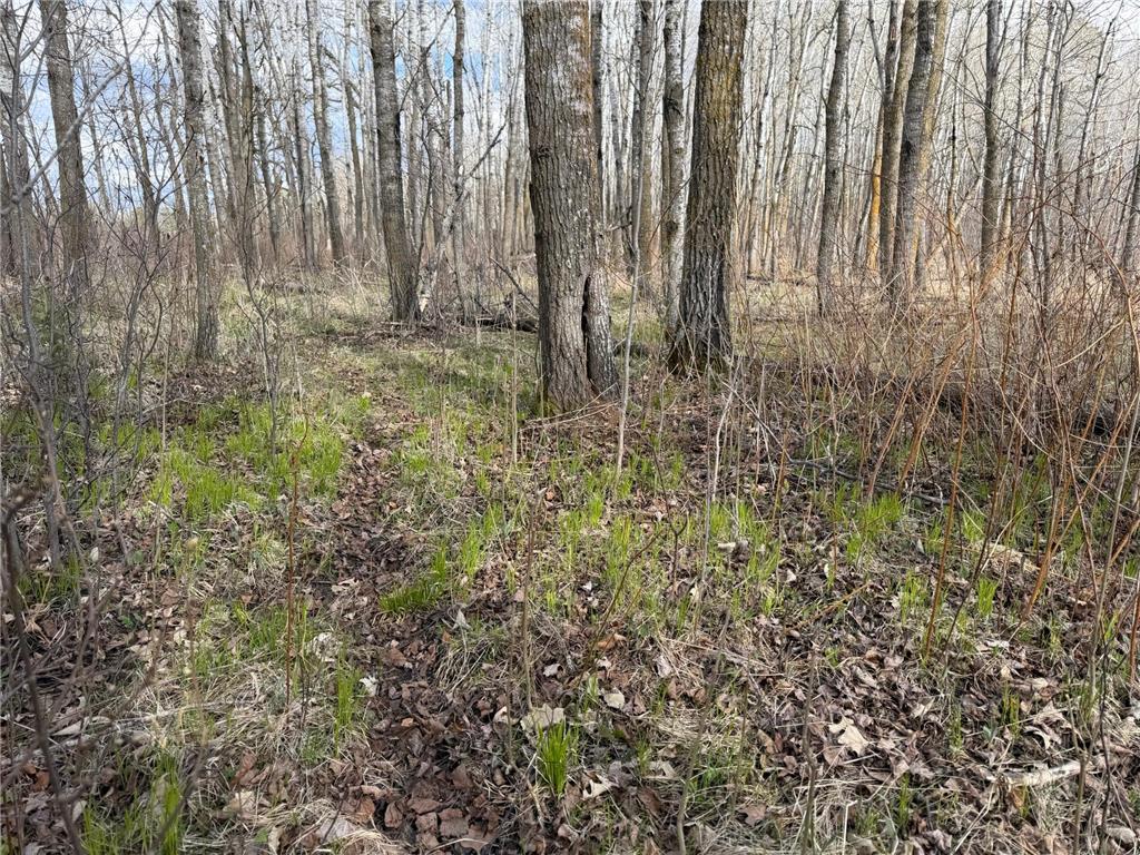 10121 State Hwy 87 Menahga MN 56464 7071353 image35