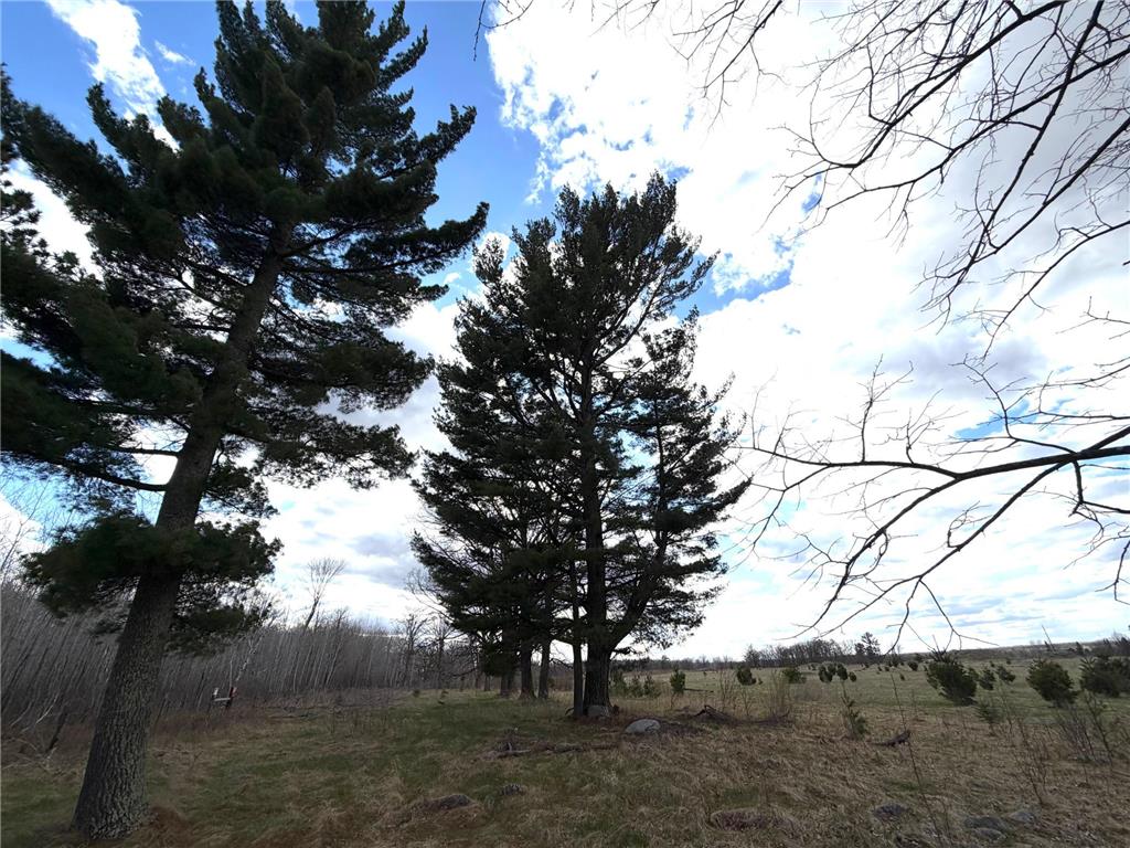 10121 State Hwy 87 Menahga MN 56464 7071353 image60