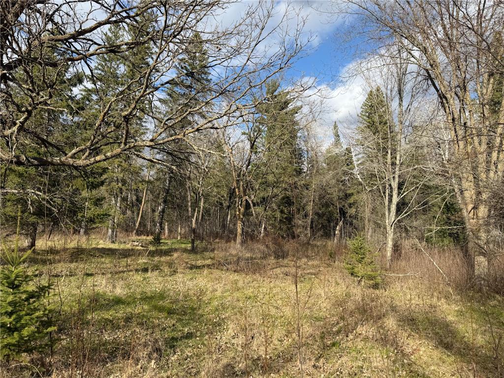 10121 State Hwy 87 Menahga MN 56464 7071353 image64
