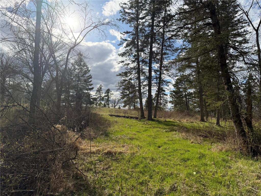 10121 State Hwy 87 Menahga MN 56464 7071353 image66