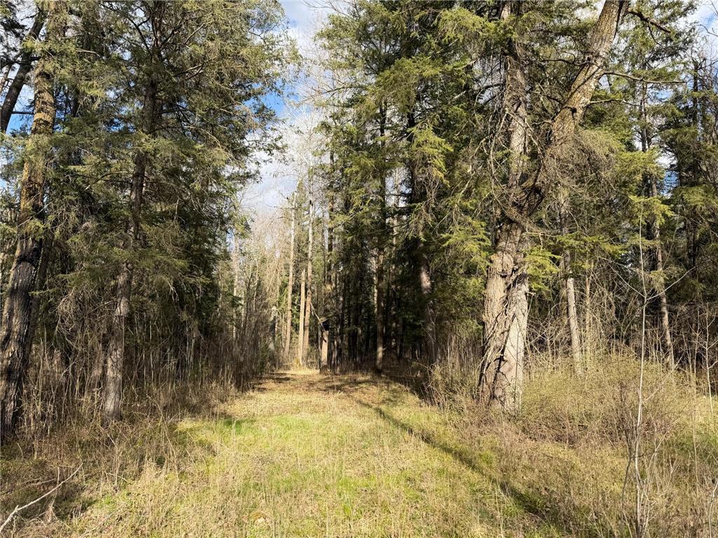 10121 State Hwy 87 Menahga MN 56464 7071353 image67
