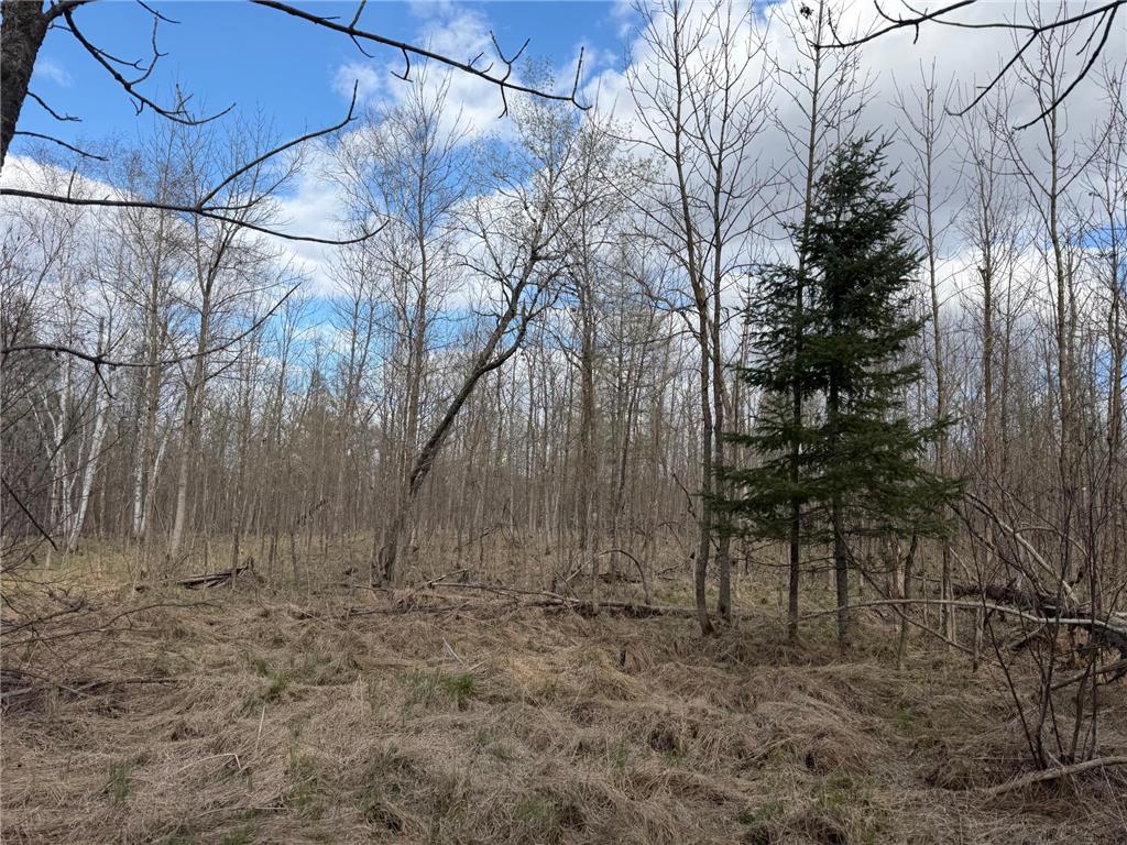 10121 State Hwy 87 Menahga MN 56464 7071353 image73