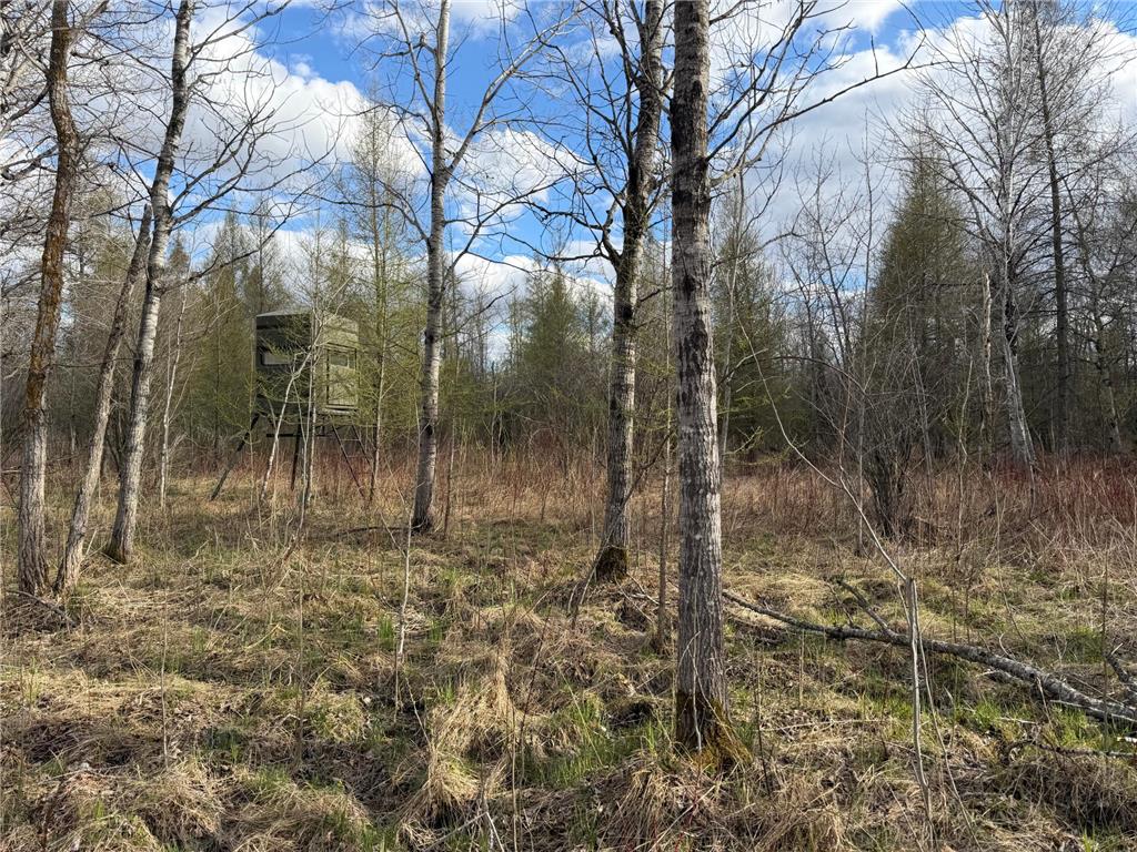 10121 State Hwy 87 Menahga MN 56464 7071353 image81