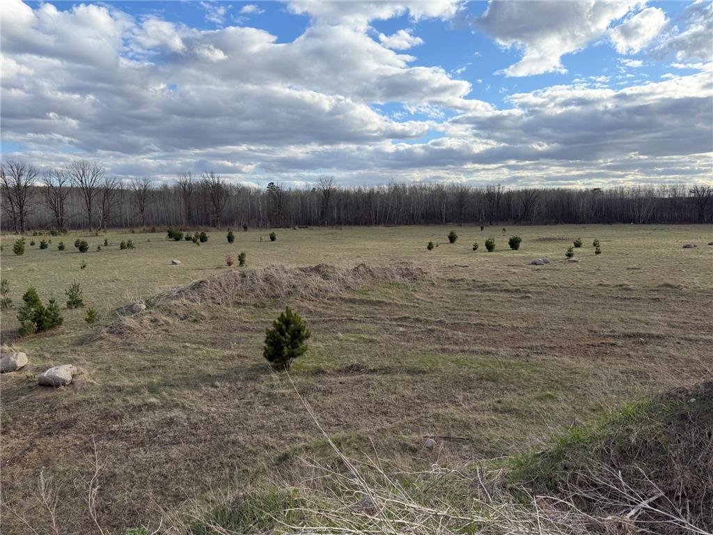 10121 State Hwy 87 Menahga MN 56464 7071353 image98