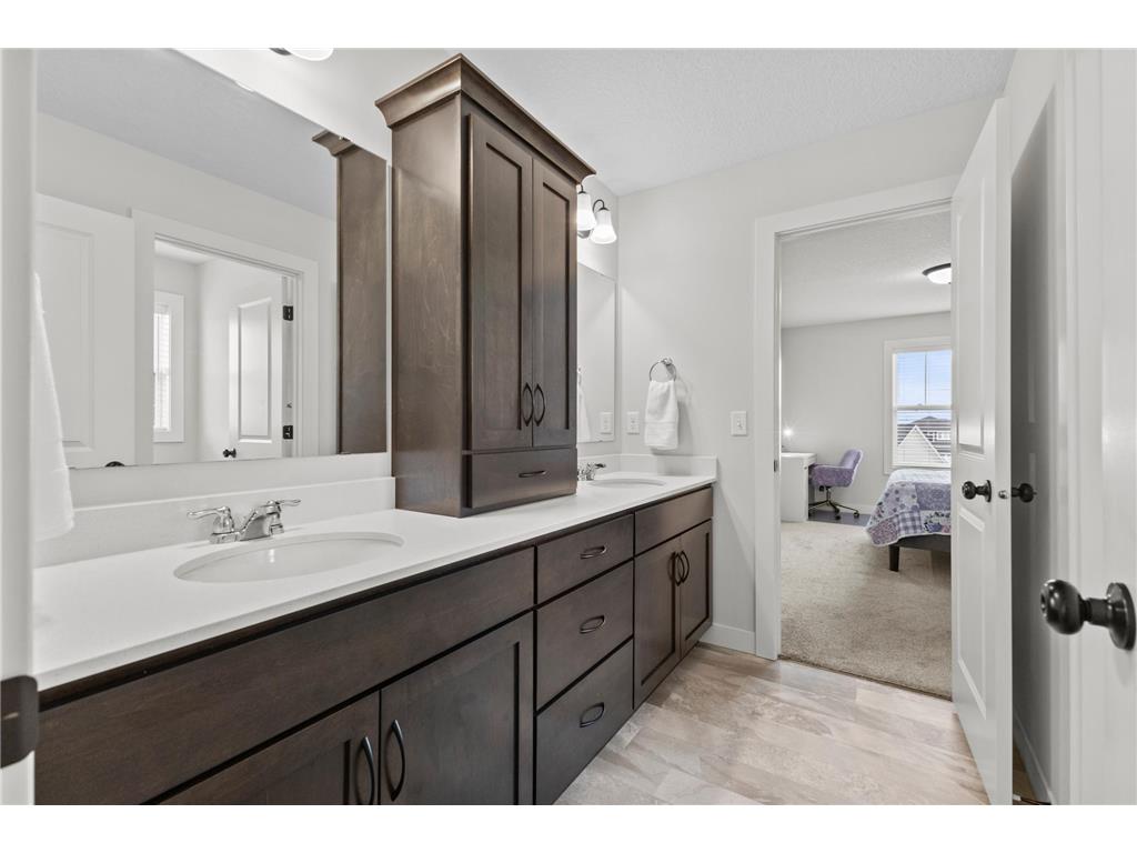 10122 Shadyview Lane N Maple Grove MN 55311 7039156 image38