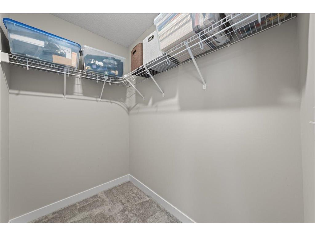 10125 Shadyview Lane N Maple Grove MN 55311 7032927 image34