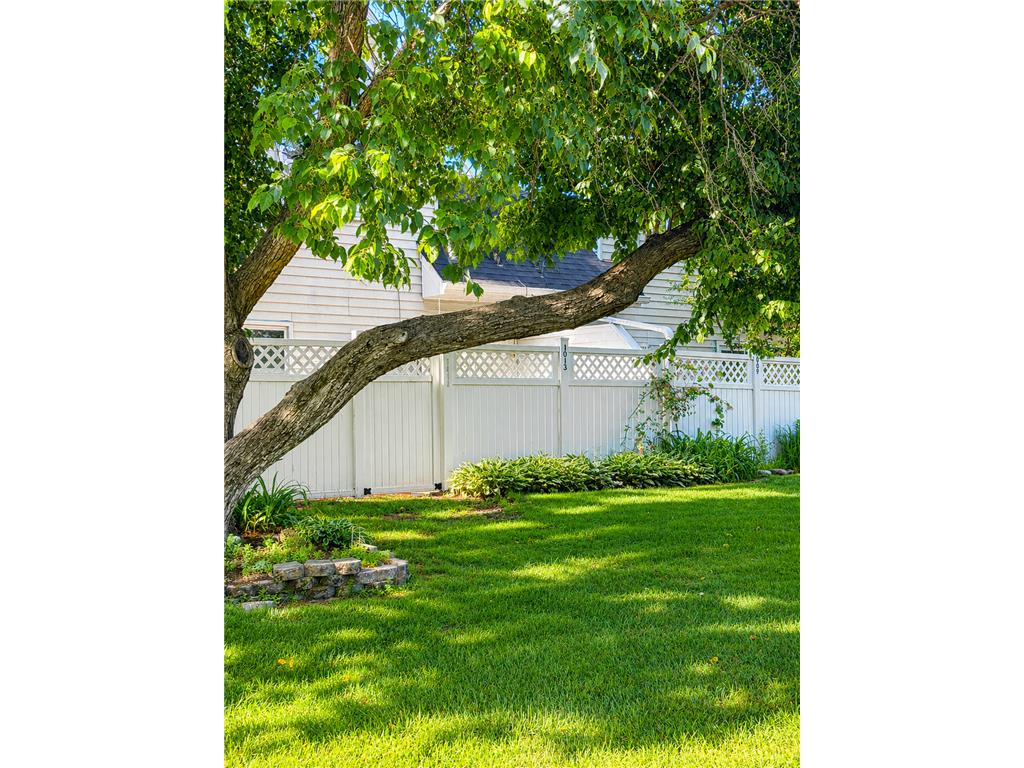 1013 124th Circle NW Coon Rapids MN 55448 7088386 image27