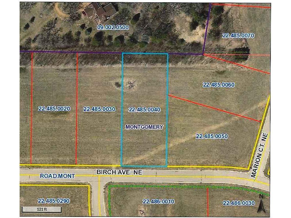 1013 Birch Avenue NE Montgomery MN 56069 6157161 image1