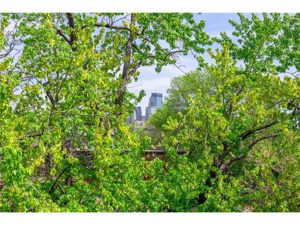 1014 Mount Curve Avenue Minneapolis MN 55403 7017735 image44