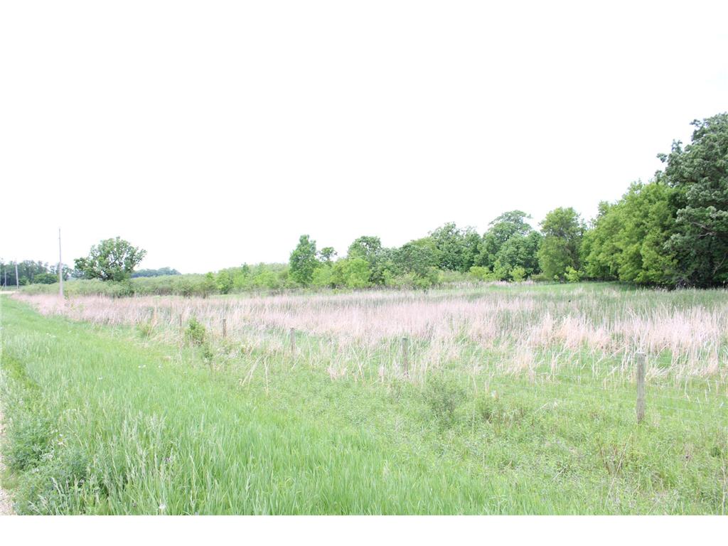 10142 225th Street Silver Lake MN 55381 7034464 image45