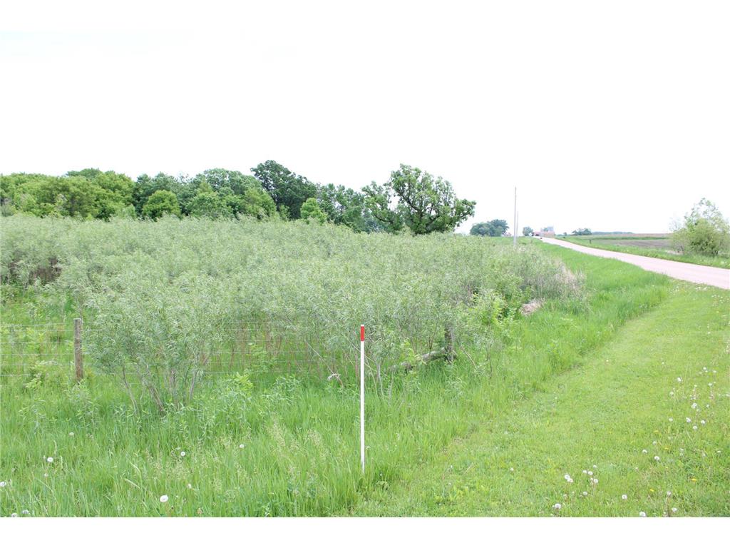 10142 225th Street Silver Lake MN 55381 7034464 image47