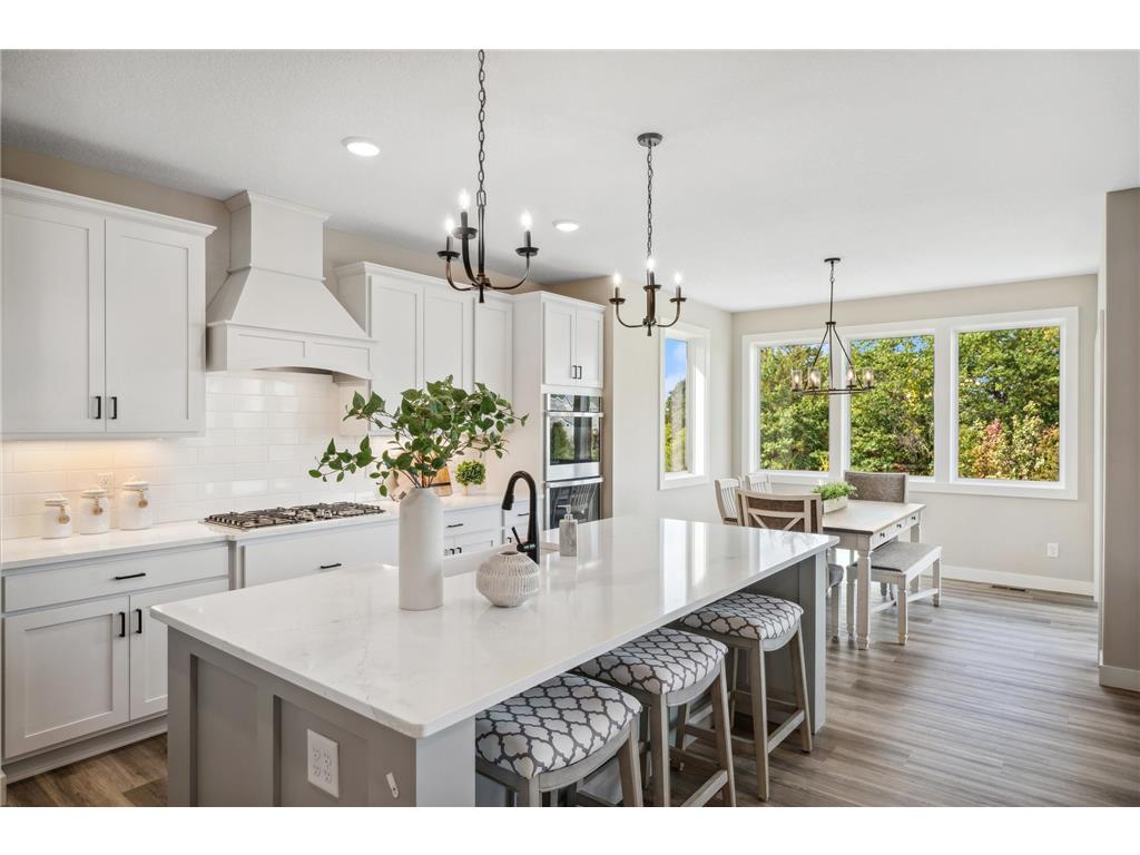 10145 Heather Lane Corcoran MN 55374 6824660 image3