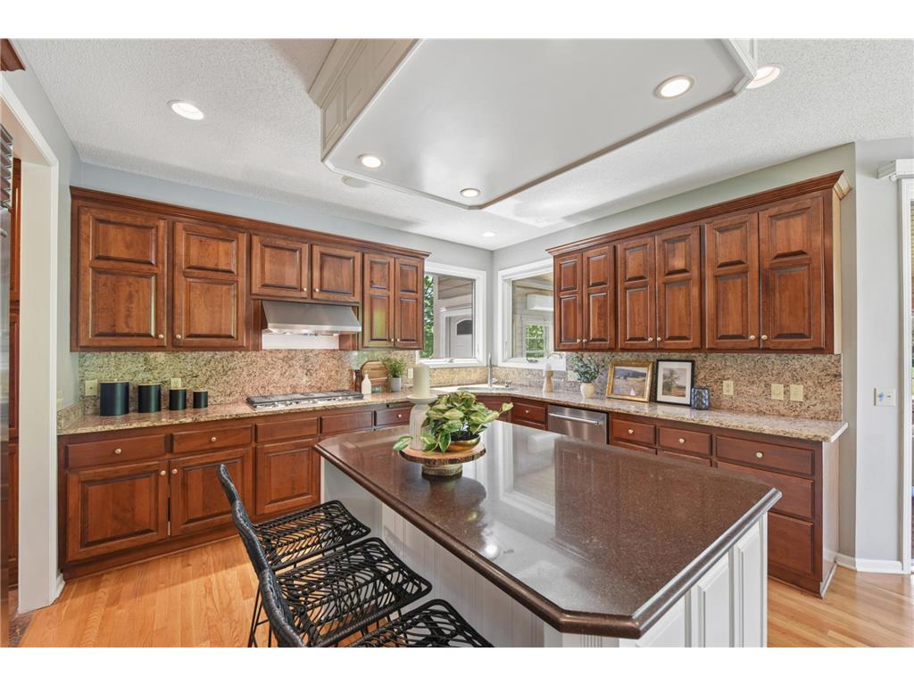 10145 Powers Lake Trail Woodbury MN 55129 7036102 image13
