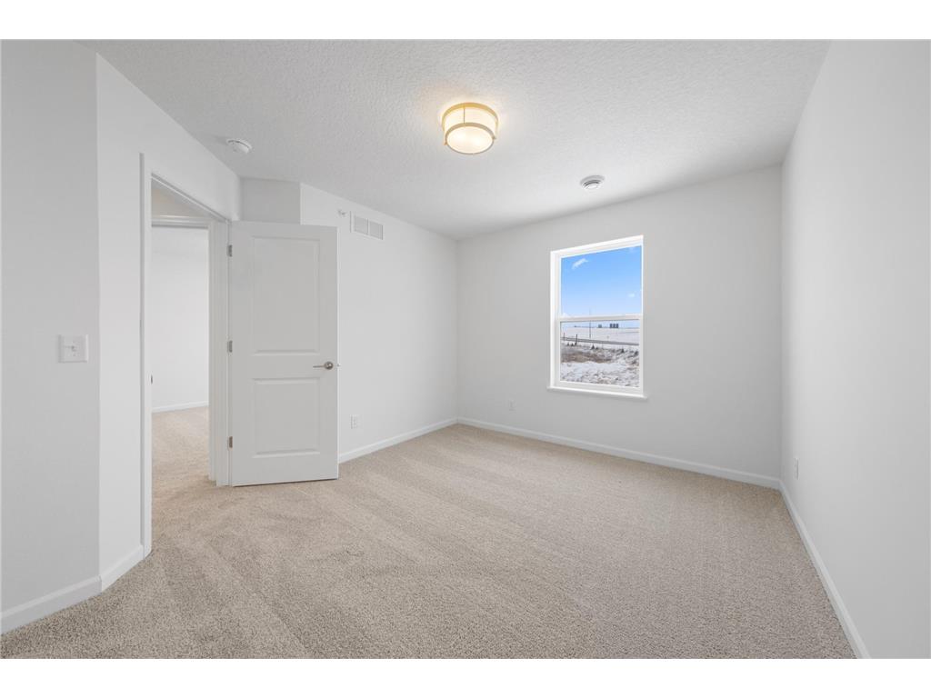 1015 130th Court E Rosemount MN 55068 7035954 image9