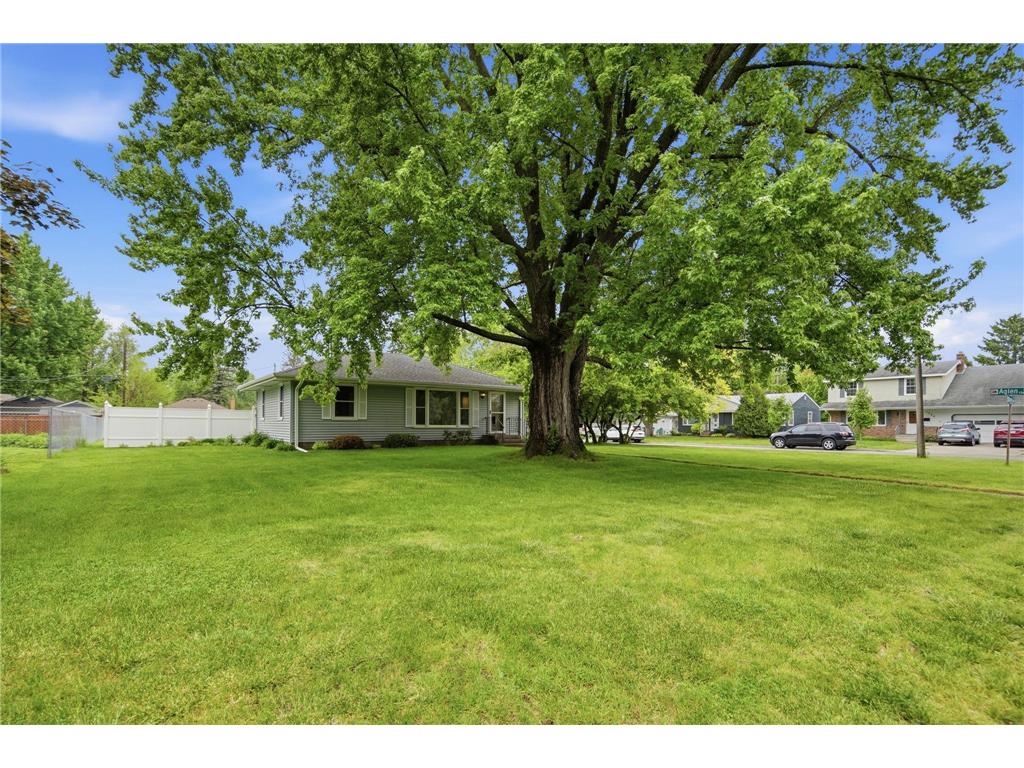 1015 Dionne Street Roseville MN 55113 7077516 image3