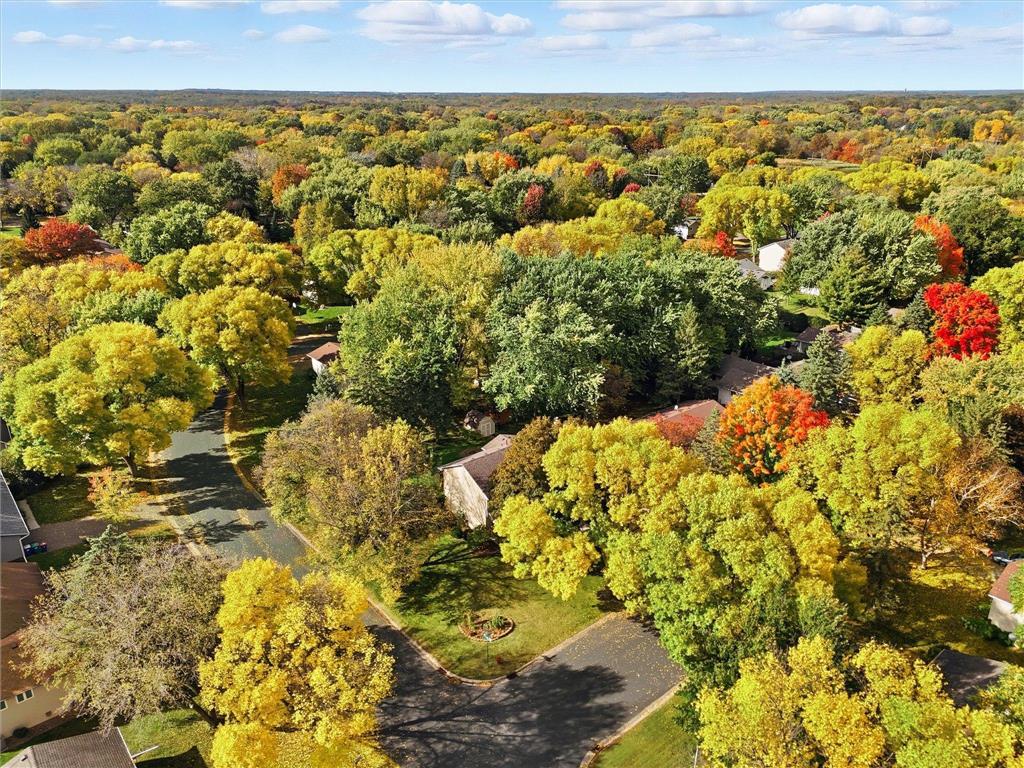 10155 Pilgrim Lane N Maple Grove MN 55369 6822632 image66