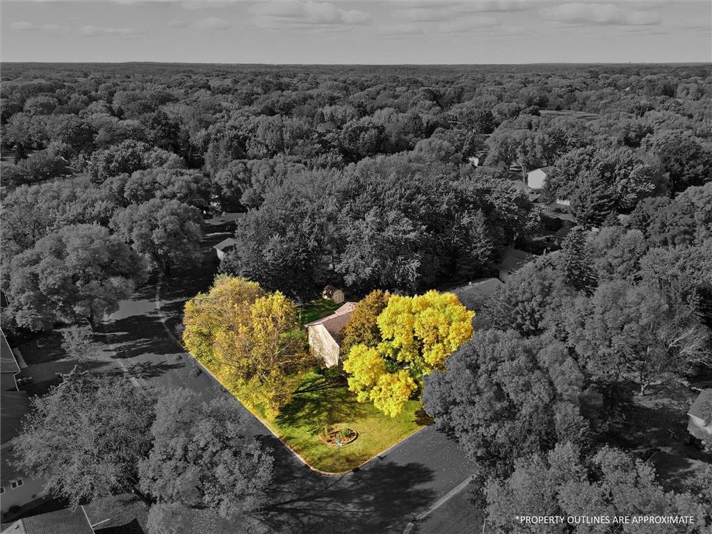 10155 Pilgrim Lane N Maple Grove MN 55369 6822632 image67