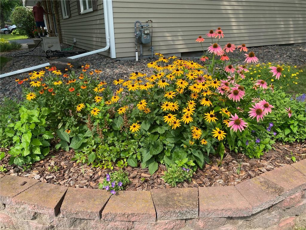 10156 Pilgrim Lane N Maple Grove MN 55369 7032673 image34