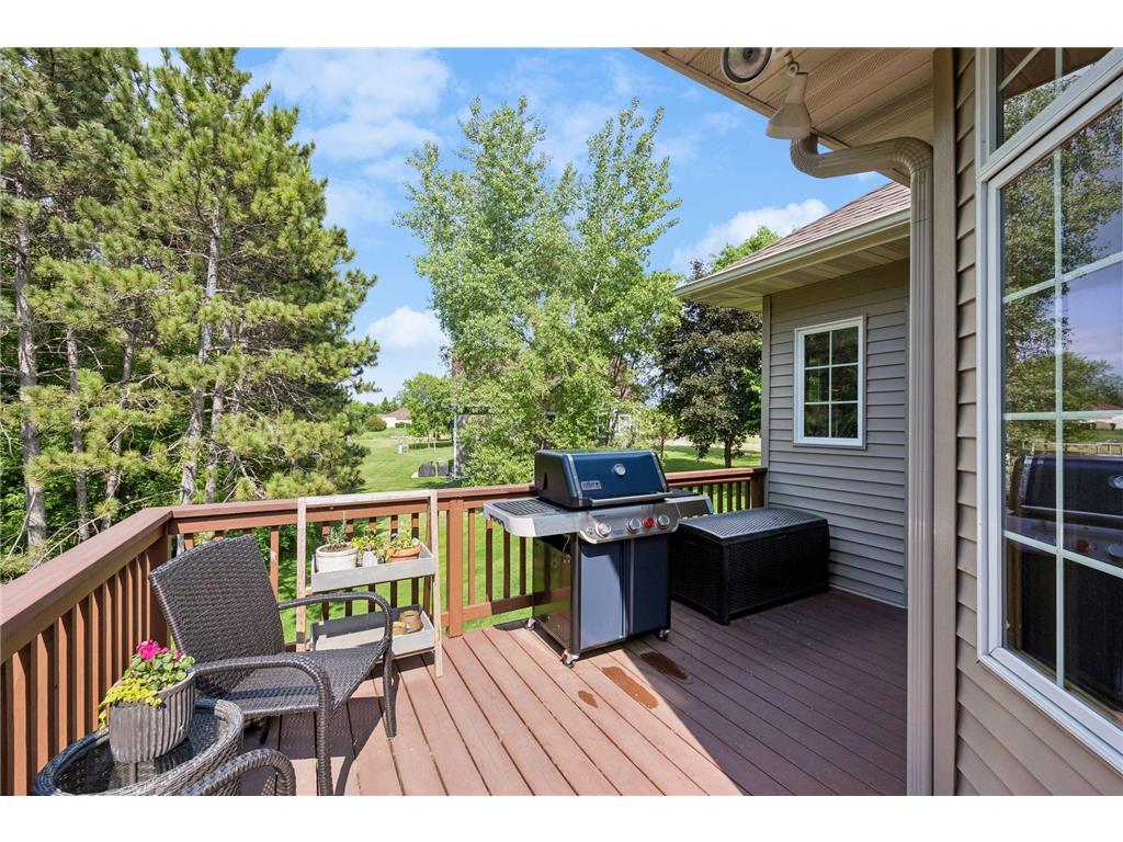 10161 James Avenue NE Otsego MN 55362 - Mississippi 7097536 image52