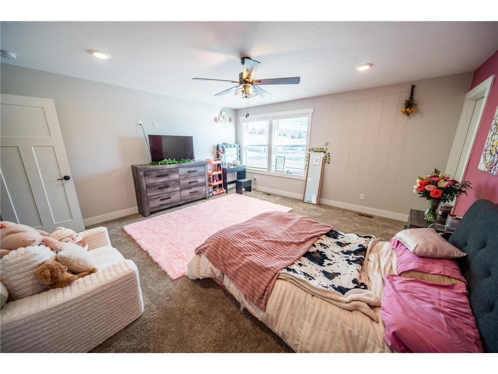 1017 Chester Ave SE Rochester MN 55904 7017732 image47