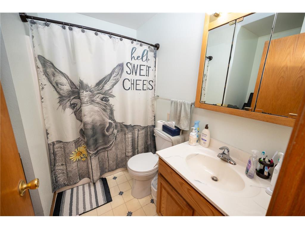 1017 E Kings Hill Road Hewitt MN 56453 7075631 image15