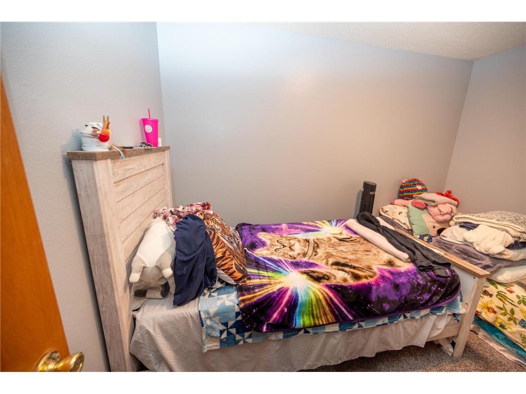 1017 E Kings Hill Road Hewitt MN 56453 7075631 image16