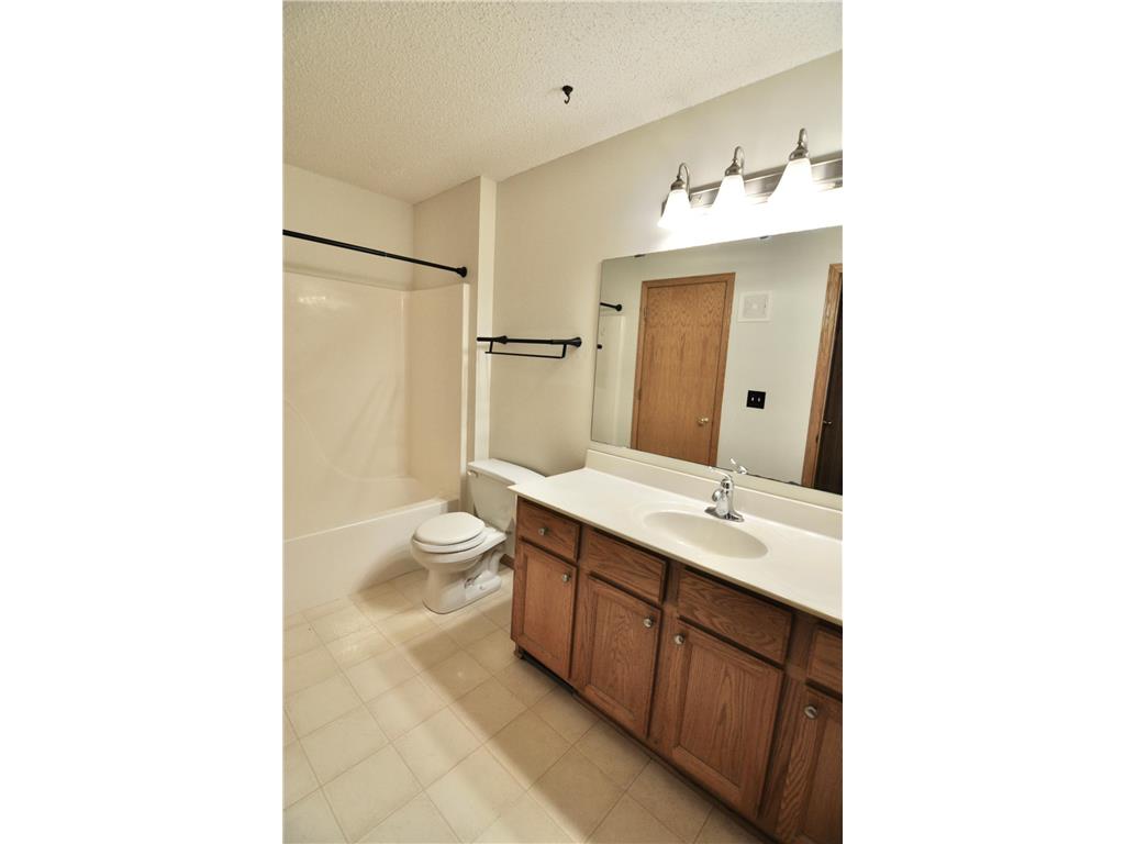 1017 Larch Street Farmington MN 55024 6813072 image13